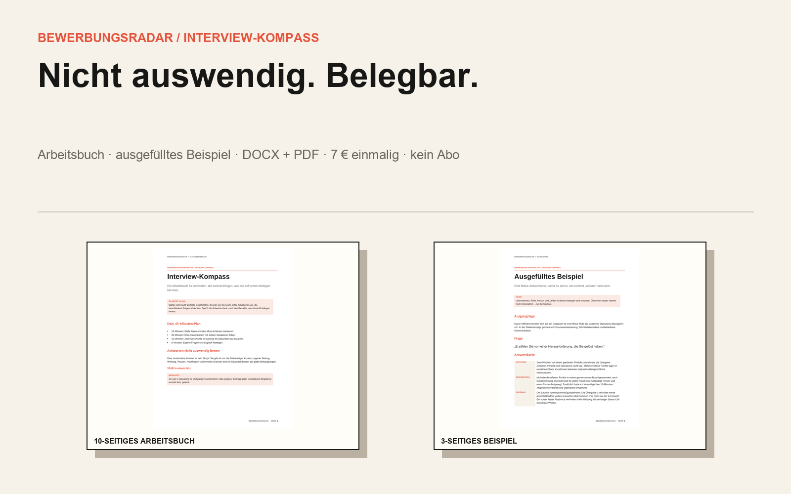 Übersicht des Interview-Kompass mit Arbeitsbuch und fiktivem Beispiel
